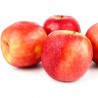 Malus domestica Cripps Pink 