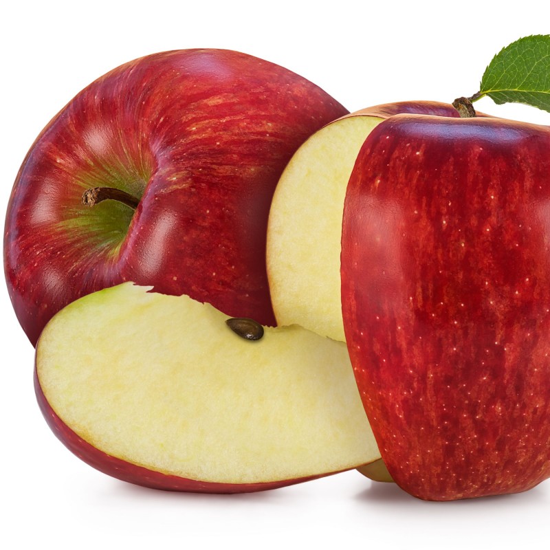 Malus domestica Jonagored