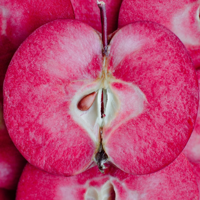 Malus domestica Marisa